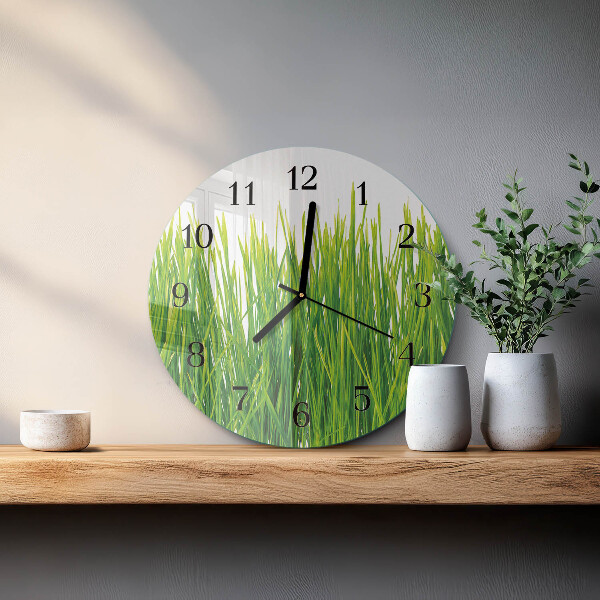 Orologio rotondo Erba