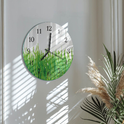 Orologio rotondo Erba