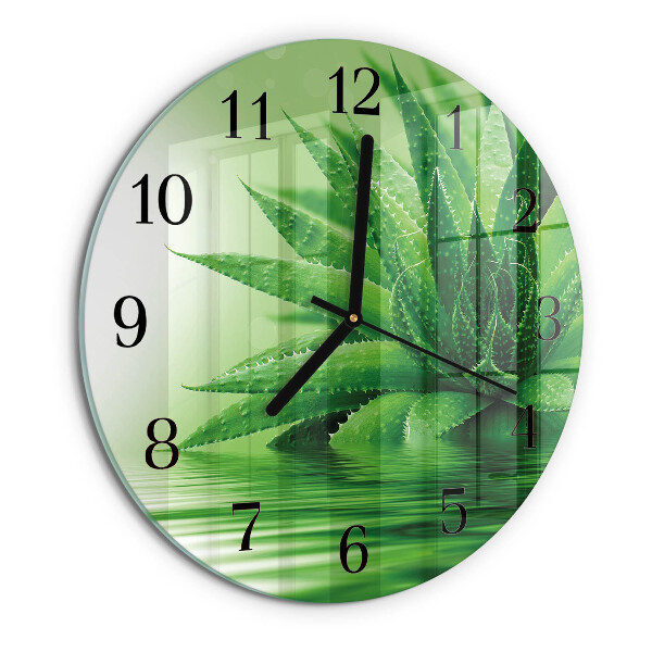 Orologio rotondo Aloe