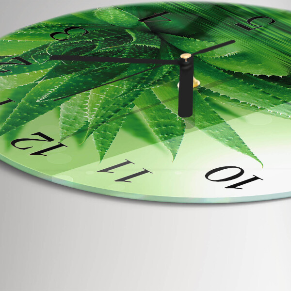 Orologio rotondo Aloe