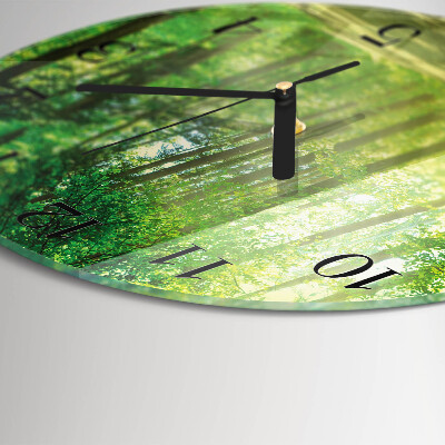 Orologio rotondo Natura della foresta