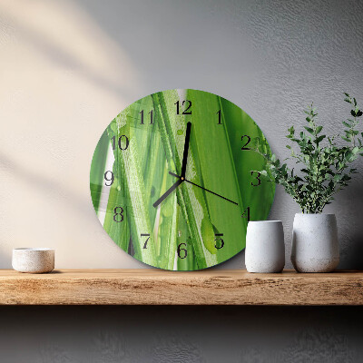 Orologio rotondo Erba
