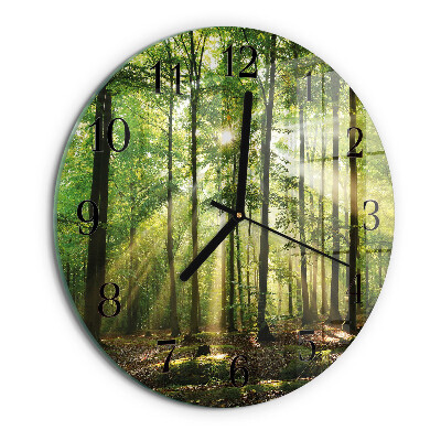 Orologio rotondo Natura della foresta