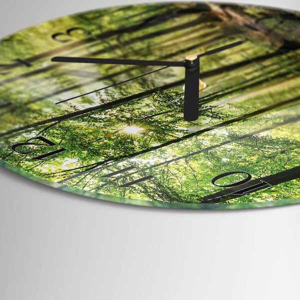 Orologio rotondo Natura della foresta