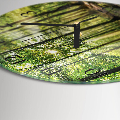 Orologio rotondo Natura della foresta