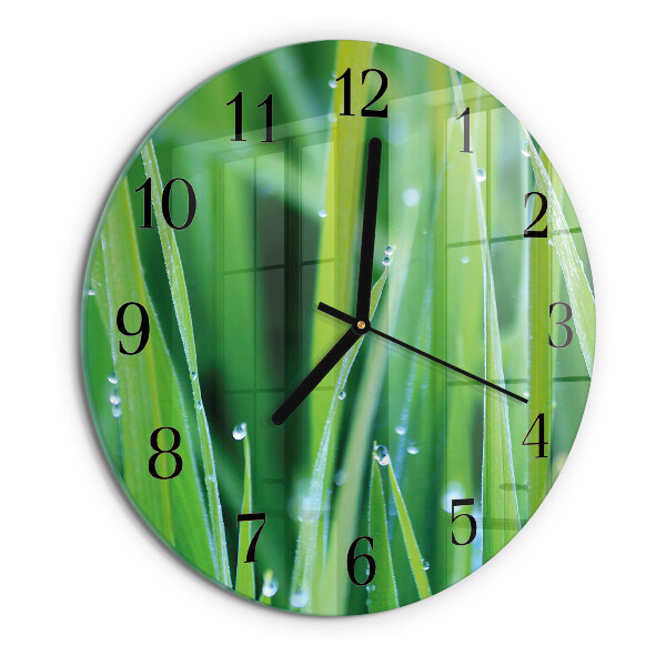 Orologio rotondo Erba