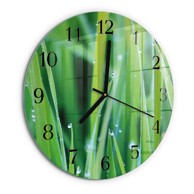Orologio rotondo Erba