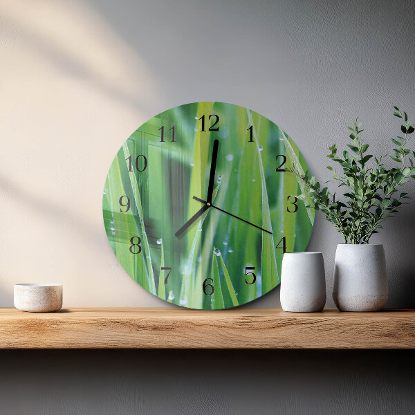 Orologio rotondo Erba
