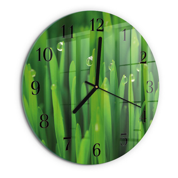 Orologio rotondo Erba