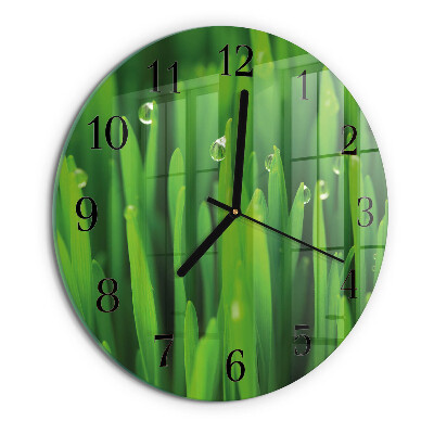 Orologio rotondo Erba