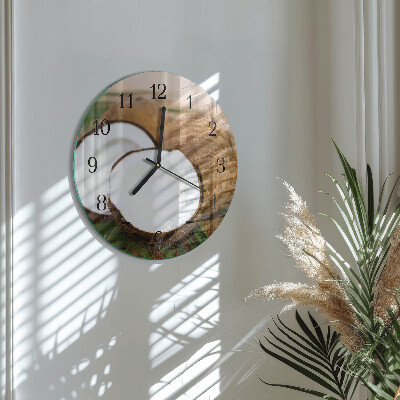 Orologio rotondo Noci di cocco