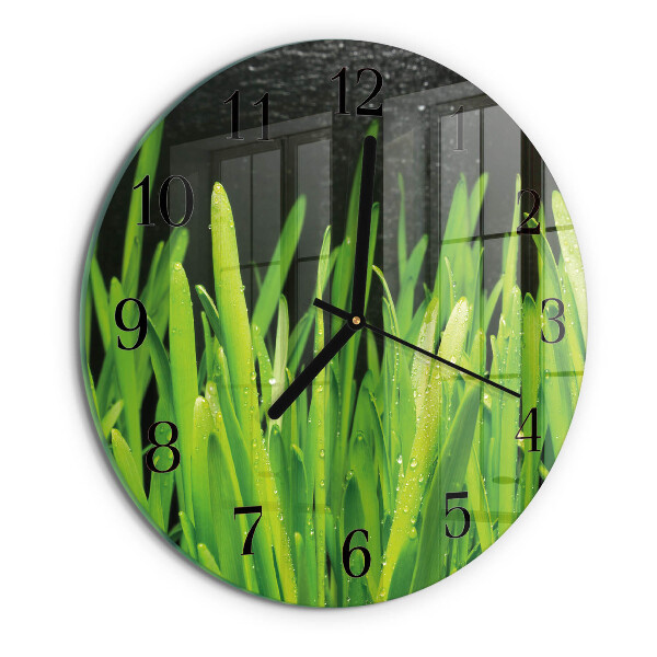 Orologio rotondo Erba