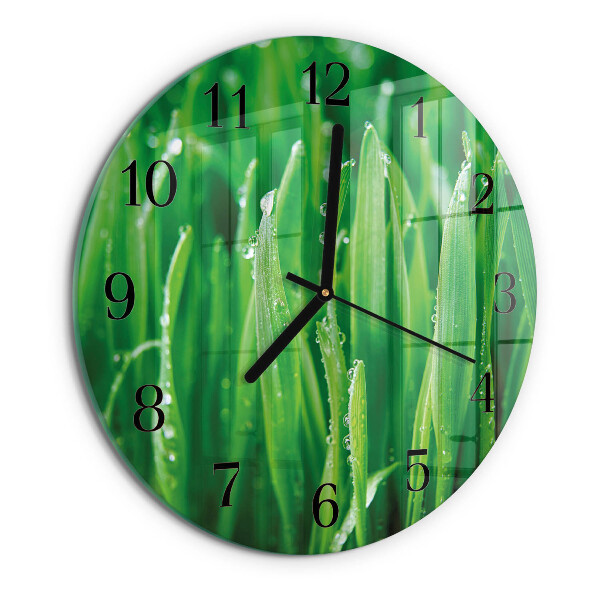 Orologio rotondo Erba verde