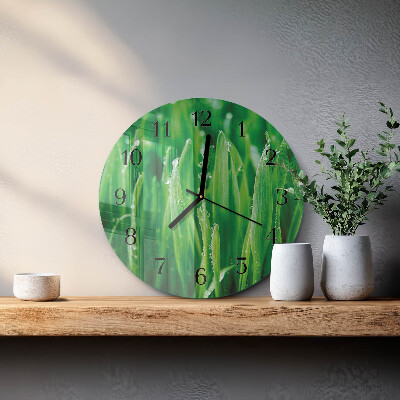 Orologio rotondo Erba verde