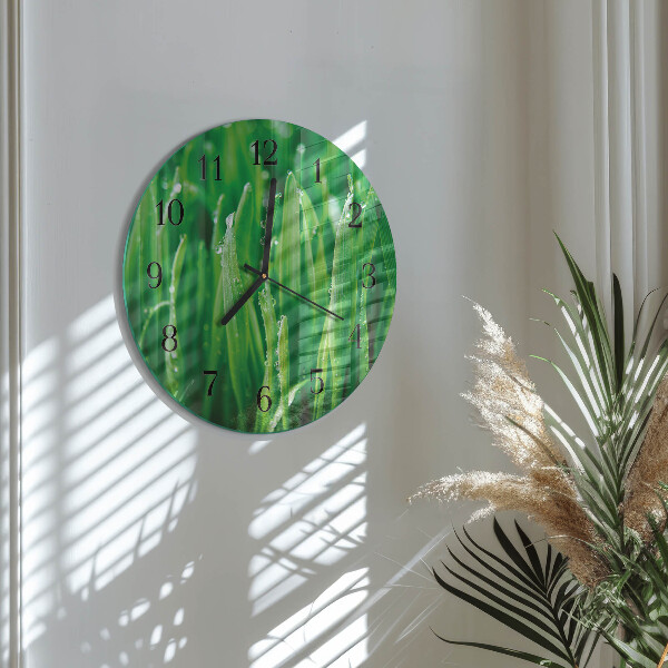 Orologio rotondo Erba verde