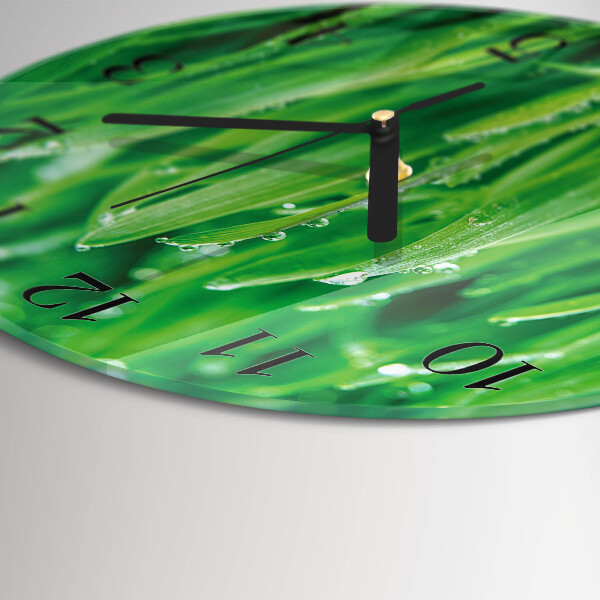 Orologio rotondo Erba verde