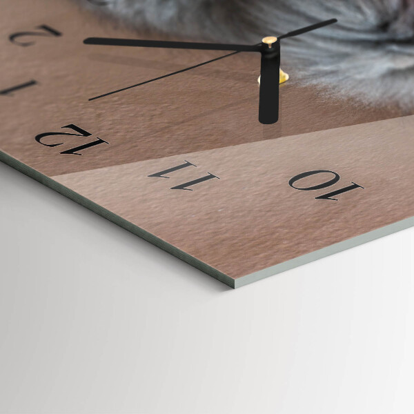 Orologio rettangolare gatto persiano