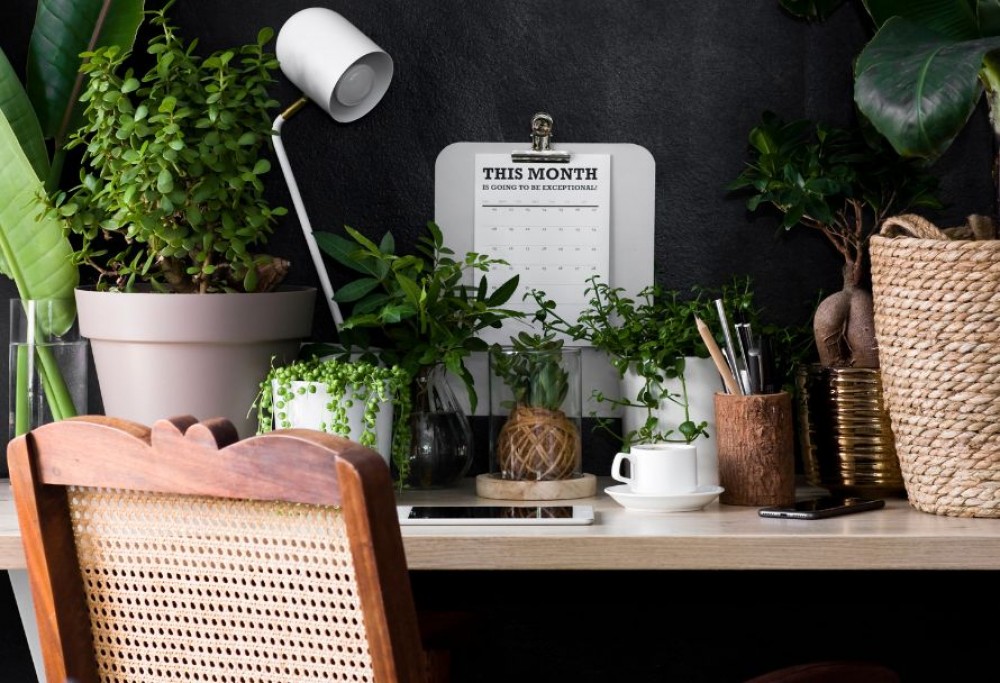 Progettazione biofila